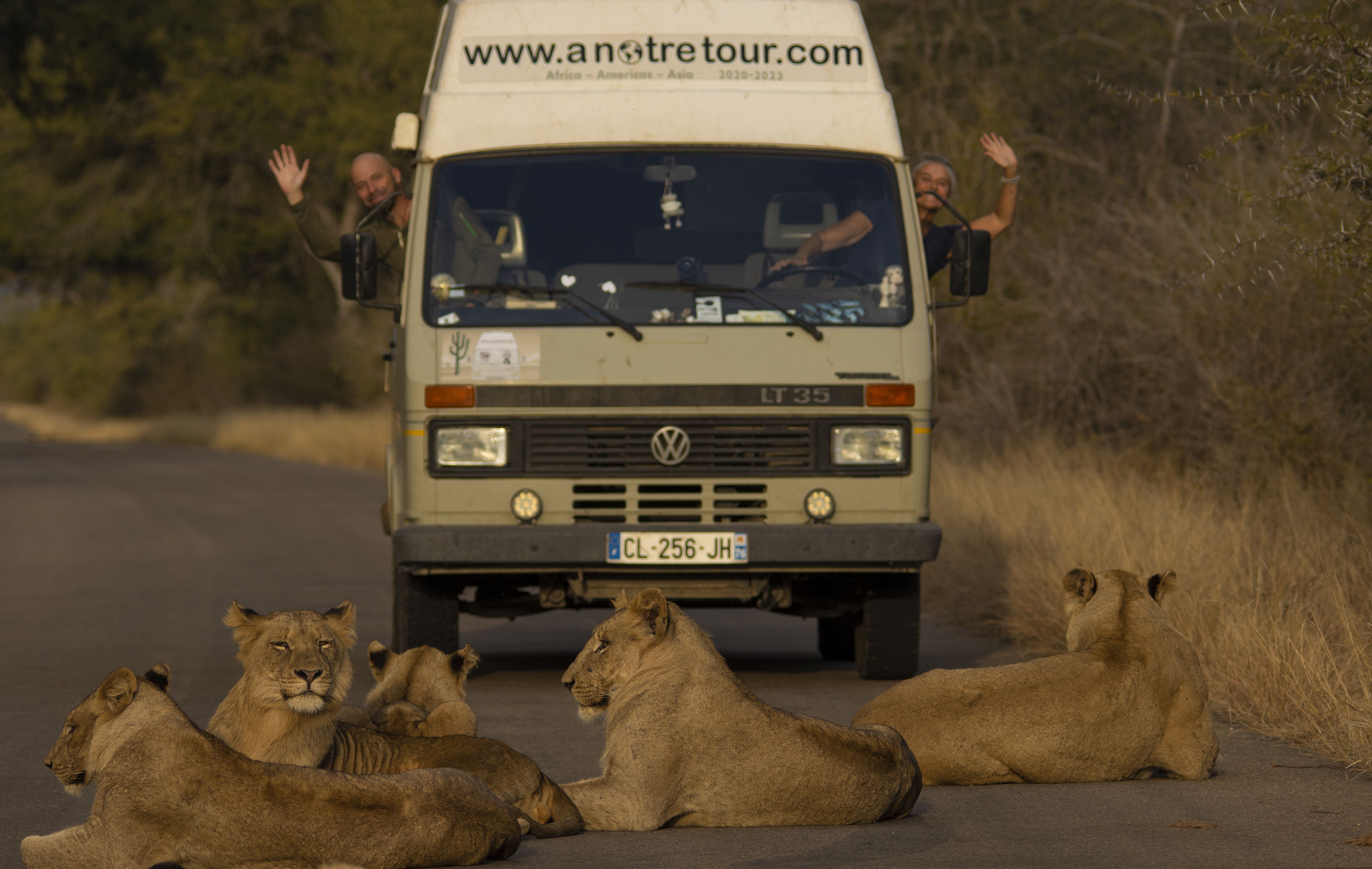 Oscar au milieu des lions